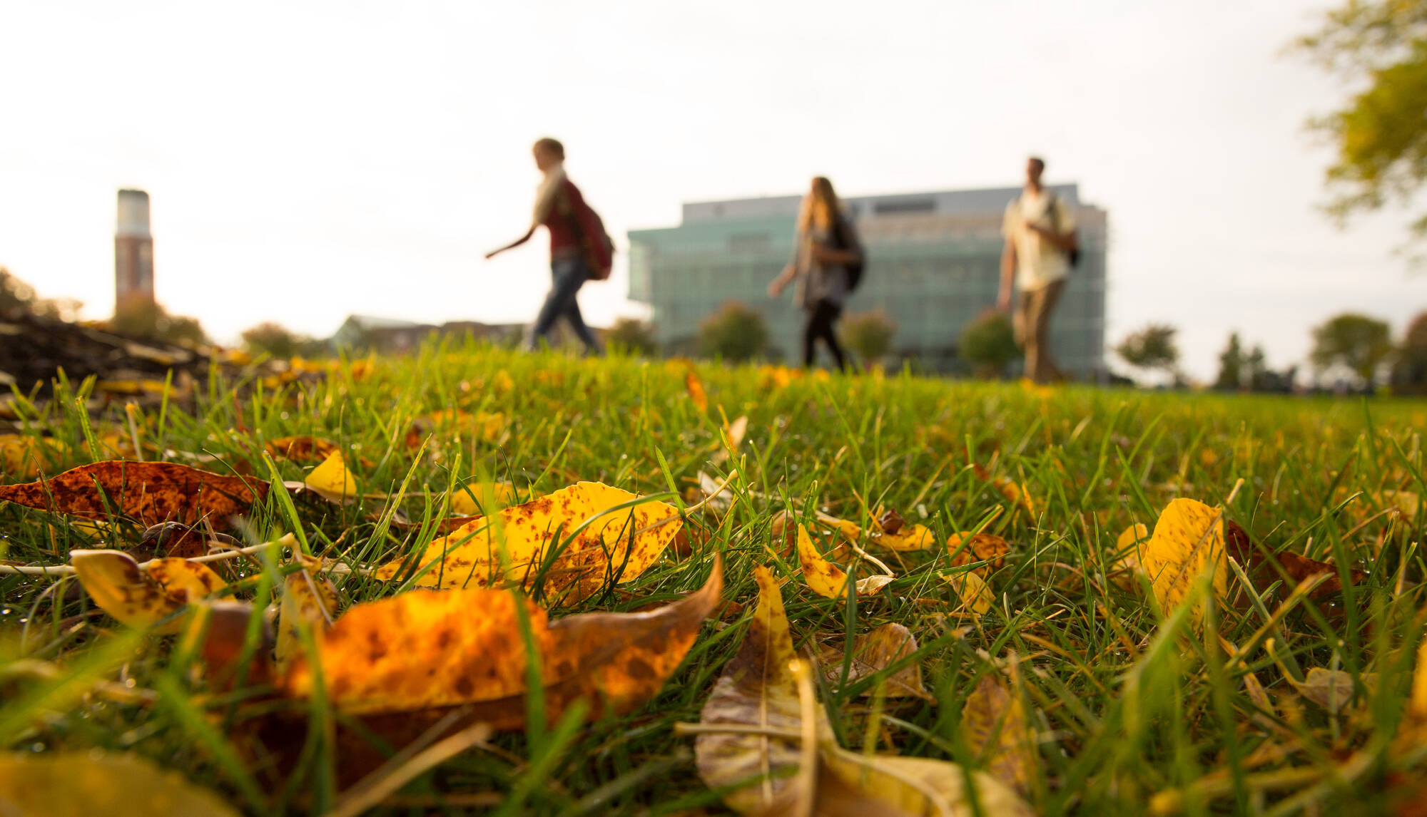 students walking on campus in the fall
